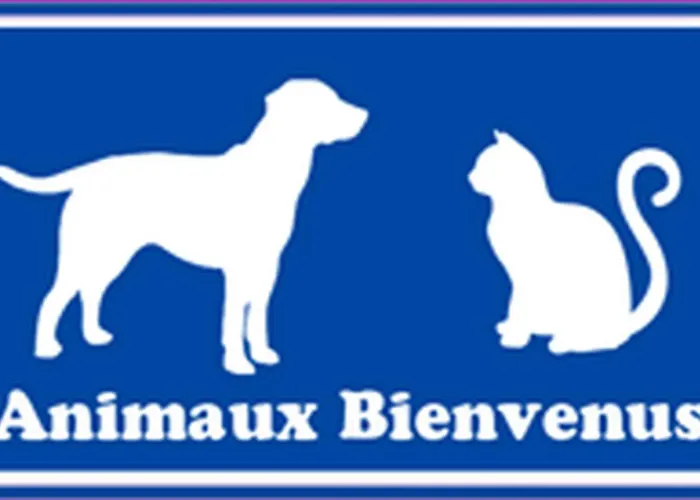 T2 Climatise A 2 Minutes De La Du Pont Tournant - 4branr ヴィラ サン・シプリアン